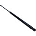 Gasfeder, Koffer-/Laderaum | 224595 Gasfeder, Koffer-/Laderaum | 224595