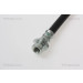 Bremsschlauch | 815018212 Bremsschlauch | 815018212