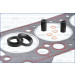 Dichtungssatz, Zylinderkopf | AJU52001900 Dichtungssatz, Zylinderkopf | AJU52001900
