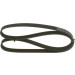 Keilrippenriemen 6Pk1256 | KIA,HYUNDAI,FIAT,TOYOTA | 1987947887 Keilrippenriemen 6Pk1256 | KIA,HYUNDAI,FIAT,TOYOTA | 1987947887