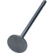 Auslassventil Fiat 2.3 16V Jtd | PFIA162-A-0-N Auslassventil Fiat 2.3 16V Jtd | PFIA162-A-0-N