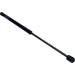 Gasfeder, Koffer-/Laderaum | 222404 Gasfeder, Koffer-/Laderaum | 222404