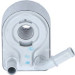 Ölkühler, Motor“L | 31069 Ölkühler, Motor“L | 31069