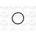PA 886 Wasserpumpe | CITROEN C5,PEUGEOT 407 00 | PA886 PA 886 Wasserpumpe | CITROEN C5,PEUGEOT 407 00 | PA886