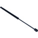 Gasfeder, Koffer-/Laderaum | 12-0191 Gasfeder, Koffer-/Laderaum | 12-0191