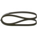 Keilrippenriemen 6Pk1256 | KIA,HYUNDAI,FIAT,TOYOTA | 1987947887 Keilrippenriemen 6Pk1256 | KIA,HYUNDAI,FIAT,TOYOTA | 1987947887