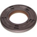 Simer. Nockenwelle Focus 1.5 Tdci 18 | 2191039 Simer. Nockenwelle Focus 1.5 Tdci 18 | 2191039
