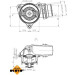 Thermostat, Kühlmittel | 725222 Thermostat, Kühlmittel | 725222