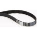 Zahnriemen | CT1091 Zahnriemen | CT1091