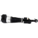 Arnott Luftfederbein VA re | MERCEDES CL,S 06 | AS-2547