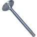 Einlassventil | R6143/SCR Einlassventil | R6143/SCR