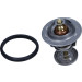 Thermostat, Kühlmittel | TH6950.82J