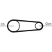 CONTINENTAL CTAM Keilrippenriemensatz 6PK831 ELAST T1