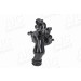 Thermostat | CITROEN/MINI/PEUGEOT | 55717