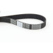 Zahnriemen | CT929