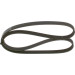Keilrippenriemen | HONDA,TOYOTA,MITSUBISHI,RENAULT | 1987947878 Keilrippenriemen | HONDA,TOYOTA,MITSUBISHI,RENAULT | 1987947878