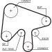 Zahnriemensatz | Mazda 3,5,6 CiTD 02 | K015630XS Zahnriemensatz | Mazda 3,5,6 CiTD 02 | K015630XS