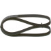 Keilrippenriemen | AUDI,SEAT,SKODA,VW | 1987948381 Keilrippenriemen | AUDI,SEAT,SKODA,VW | 1987948381