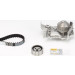 CT988WP1 Wasserpumpe + Zahnriemensatz