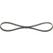 Keilrippenriemen | BMW,TOYOTA,KIA,FIAT | 1987947830 Keilrippenriemen | BMW,TOYOTA,KIA,FIAT | 1987947830