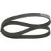 Keilrippenriemen | NISSAN,BMW | 1987946249 Keilrippenriemen | NISSAN,BMW | 1987946249