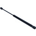 Gasfeder, Koffer-/Laderaum | 12-0037 Gasfeder, Koffer-/Laderaum | 12-0037