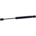 Gasfeder, Hinten L=279 490N | AUDI A4 10/94-09/01 | 2697LZ Gasfeder, Hinten L=279 490N | AUDI A4 10/94-09/01 | 2697LZ