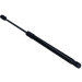 Gasfeder, Koffer-/Laderaum | 135841 Gasfeder, Koffer-/Laderaum | 135841