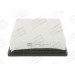 CHAMPION Luftfilter | CAF100729P CHAMPION Luftfilter | CAF100729P