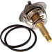 Thermostat, Kühlmittel | 725282 Thermostat, Kühlmittel | 725282