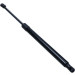 Gasfeder, Koffer-/Laderaum | 147894 Gasfeder, Koffer-/Laderaum | 147894