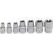 BGS Steckschlüssel-Einsatz-Satz E-Profil | Antrieb Innenvierkant 6,3 mm (1/4"""") / 10 mm (3/8"""") | SW E6 - E16 | 7 tlg | 2027 BGS Steckschlüssel-Einsatz-Satz E-Profil | Antrieb Innenvierkant 6,3 mm (1/4"""") / 10 mm (3/8"""") | SW E6 - E16 | 7 tlg | 2027