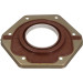Wellendichtring Kurbelwelle | IVECO | 81-10173-00 Wellendichtring Kurbelwelle | IVECO | 81-10173-00