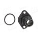 Wasserflansch mit Dichtung | AUDI 86 | 50059