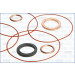 Dichtungsvollsatz, Motor | 50038800 Dichtungsvollsatz, Motor | 50038800