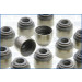 Dichtungssatz, Ventilschaft | 57052100 Dichtungssatz, Ventilschaft | 57052100