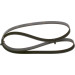 Keilrippenriemen | VW,OPEL,FORD,RENAULT | 1987947948 Keilrippenriemen | VW,OPEL,FORD,RENAULT | 1987947948