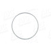 Sensorring ABS | Diverse | 56335 Sensorring ABS | Diverse | 56335