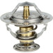 Thermostat, Kühlmittel | 725060 Thermostat, Kühlmittel | 725060