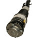Luftfederbein | 11-0773 Luftfederbein | 11-0773