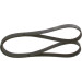 Keilrippenriemen | MITSUBISHI,TOYOTA,CITROEN | 1987948497 Keilrippenriemen | MITSUBISHI,TOYOTA,CITROEN | 1987948497