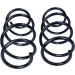 Fahrwerksfeder | 60-1247D Fahrwerksfeder | 60-1247D