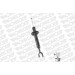 MONROE OESpectrum VA li/re | AUDI A6 04 | 376024SP MONROE OESpectrum VA li/re | AUDI A6 04 | 376024SP