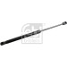 Gasfeder, Koffer-/Laderaum | 31679 Gasfeder, Koffer-/Laderaum | 31679