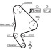 Zahnriemensatz | Citroen Jumper,Boxer 02 | K025590XS Zahnriemensatz | Citroen Jumper,Boxer 02 | K025590XS