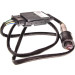 NOx-Sensor | BMW 1,2,3,4,5,6,7,8,X3,X4,X5 11 | 0 281 008 502 NOx-Sensor | BMW 1,2,3,4,5,6,7,8,X3,X4,X5 11 | 0 281 008 502