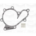 PA 1066 Wasserpumpe | Nissan Navara,Pathfinder 05 | PA1066 PA 1066 Wasserpumpe | Nissan Navara,Pathfinder 05 | PA1066