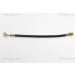 Bremsschlauch | 815018225 Bremsschlauch | 815018225