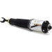 Arnott Luftfederbein VA re | AUDI A8 Sport 02-10 | AS-2777 Arnott Luftfederbein VA re | AUDI A8 Sport 02-10 | AS-2777