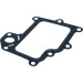 Agr-Ventildichtung Iveco Daily Iv-Vi | 504317821 Agr-Ventildichtung Iveco Daily Iv-Vi | 504317821